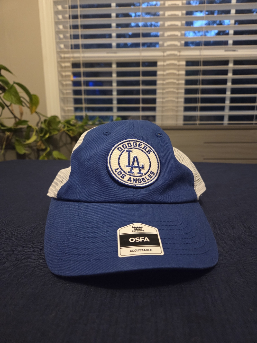 LA Dodgers Baseball Hat